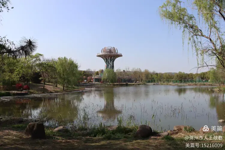 滁州花博园紫藤.海棠花.桃花.琼花.樱花还在盛开